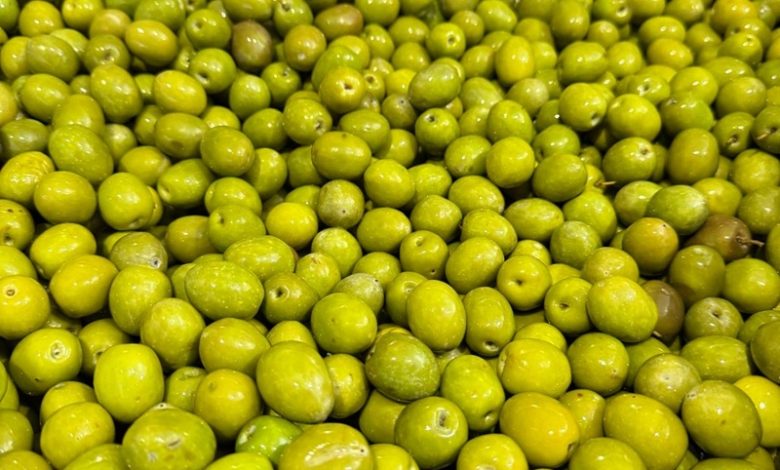 Studiu revoluționar: uleiul de măsline extravirgin, aliat pentru sănătatea creierului 2