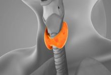 Dieta mediteraneană, tot mai asociată cu protecția tiroidei 2