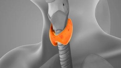 Dieta mediteraneană, tot mai asociată cu protecția tiroidei 1