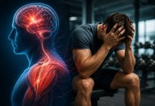 Creierul obosit afectează mușchii: legătura surprinzătoare dintre stres și performanța fizică 8