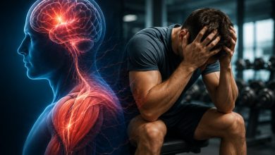 Creierul obosit afectează mușchii: legătura surprinzătoare dintre stres și performanța fizică 2