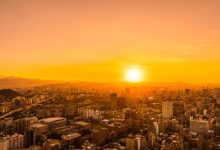 Dincolo de termometre: fenomenul periculos al „stresului termic” care asfixiază Europa 2