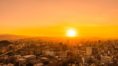 Dincolo de termometre: fenomenul periculos al „stresului termic” care asfixiază Europa 2