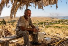Schimbările climatice și sănătatea publică: OMS actualizează după 18 ani ghidul de acțiune împotriva caniculei 8
