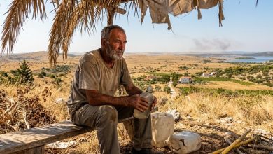 Schimbările climatice și sănătatea publică: OMS actualizează după 18 ani ghidul de acțiune împotriva caniculei 1
