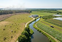 Schimbarea dietei globale poate reduce emisiile din agricultură cu 85% 8