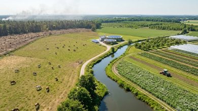 Schimbarea dietei globale poate reduce emisiile din agricultură cu 85% 2