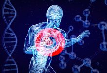 Descoperirea care rescrie neuroștiința durerii - „butonul de oprire” din creier 8