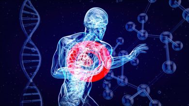Descoperirea care rescrie neuroștiința durerii - „butonul de oprire” din creier 2 Descoperirea care rescrie neuroștiința durerii - „butonul de oprire” din creier 1