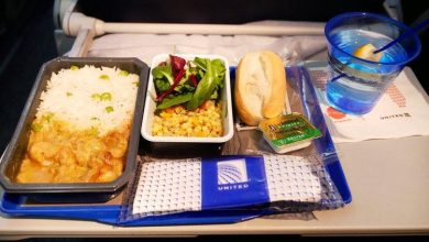 Ce trebuie să știm despre mâncarea din avioane? 2 mancarea-gatita-avion